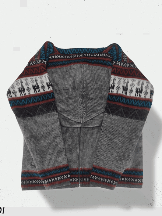 Andean Hoodie