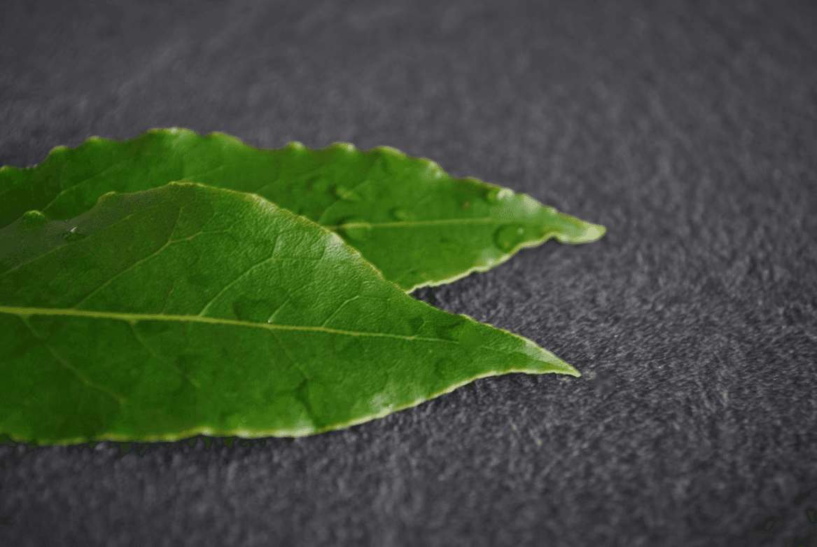 Premium Loose Leaf Guayusa